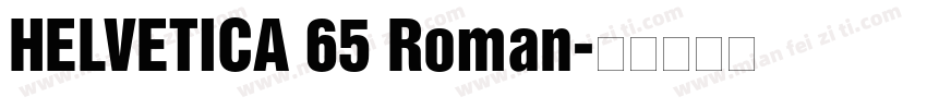HELVETICA 65 Roman字体转换